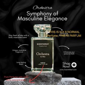 whatsapp image 2025 09 20 at 6.40.07 pm